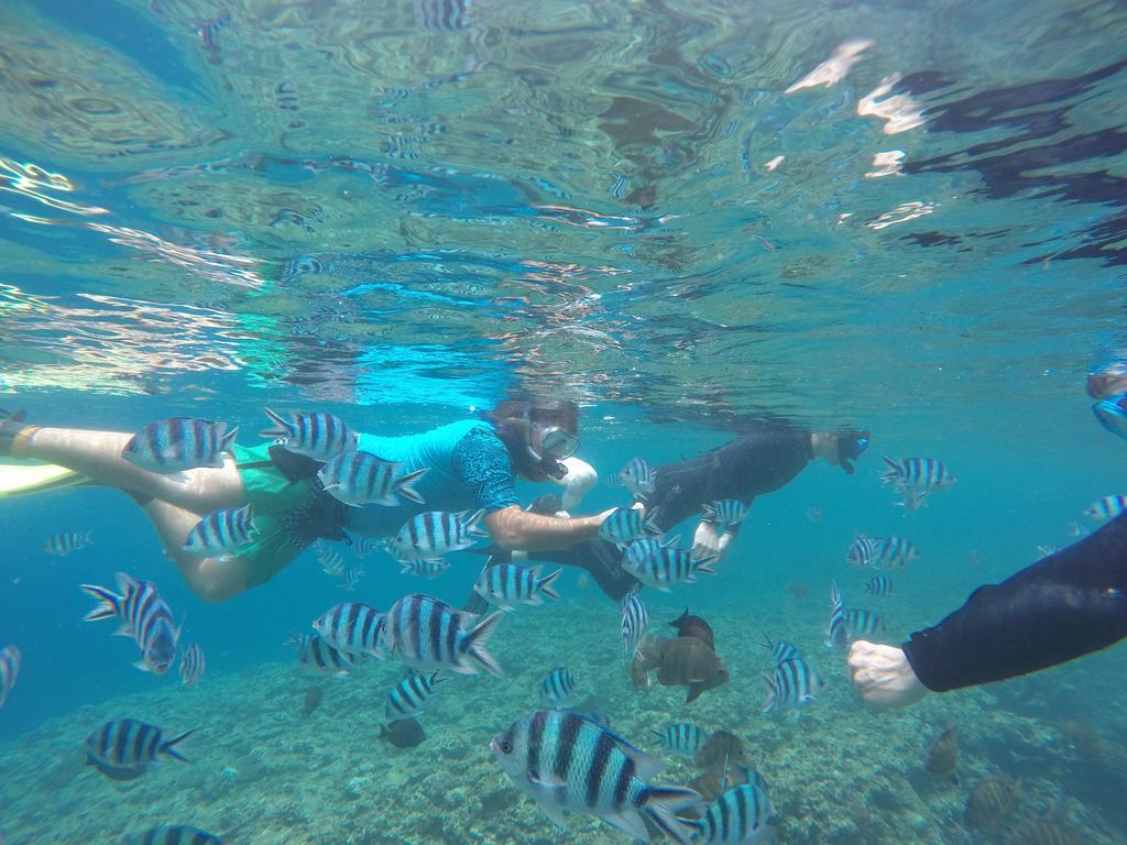 Tropical Surf House Okinawa Hotell Onna Eksteriør bilde